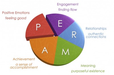 PERMA image of the five domaines of positive psychology
